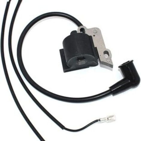 Bobine d'Allumage Haute Tension Compatible avec 530039167, 2150, 2050, 2175, 2375 (1/2)