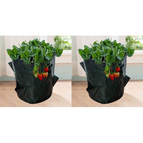 Sacs de Culture pour Fraise, 2PCS 18L/5 Gallons Sac de Legumes, Tissu Non-tissé Sac de Plantation avec Fenêtre, Sac de Legumes de Jardin (23X28CM (4 ports)) (1/5)