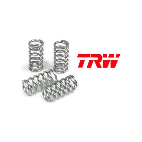 Molle frizione TRW ZF per BMW F 650 GS 08-12, F 700 GS 16-20, F 800 GS / GS adventure 08-15, F 800 GT 13-16, F 800 R 09-20, F 800 S 07-10, F 800 ST 06-12, (EBS240)
