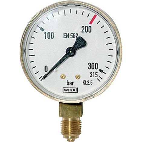 Riegler Manometer neutral, G 1/4 radial unten, Messber. 0 - 315 bar, Ø 63 (1/2)