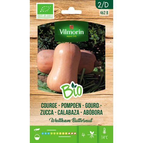 Vilmorin Garden Bio -Samen von KÐ©rbisbutternuss auf 2 gr