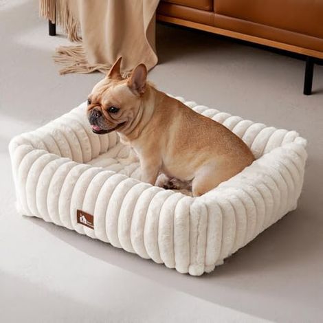 Lit Chien Luxe Upvilla, 4 Cotes, Canape, Lavable, Panier, M Beige, Memoire, Mousse, Animal, Repos, Sofa, Doux (1/5)