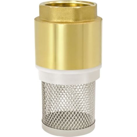 Clapet anti-retour en laiton de 1 pouce avec maille, pour pompes à eau et systèmes de filtration. (1/5)