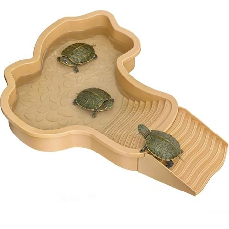Piscine pour reptiles (avec rampe amovible) - Abreuvoir/réservoir pour tortues avec marches (1/5)