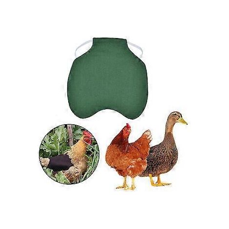 5-teiliges Hühnersattel-Set mit Henn-Schürze, Stifthalter, Flügelrückenschutz und elastischen Bändern für kleine bis mittelgroße Hühner, Grün (1/5)