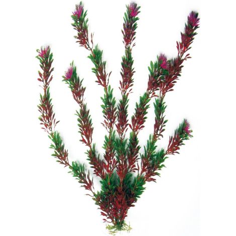 Set 6 pezzi Plant Classic Flora Bicolour Large