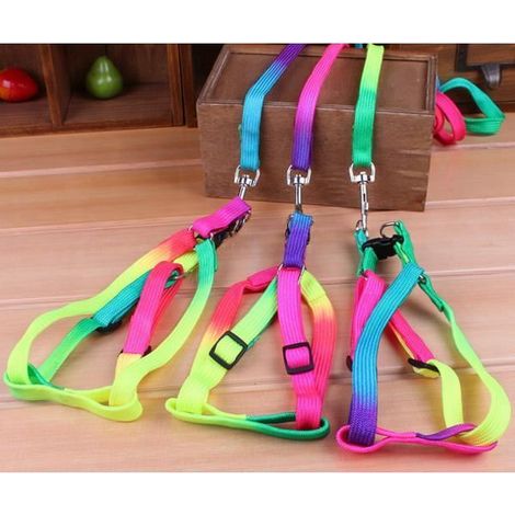 Couleurs de l\'arc Lapin Chien Chat Nylon Harnais Collier réglable laisse Promenade (1/4)