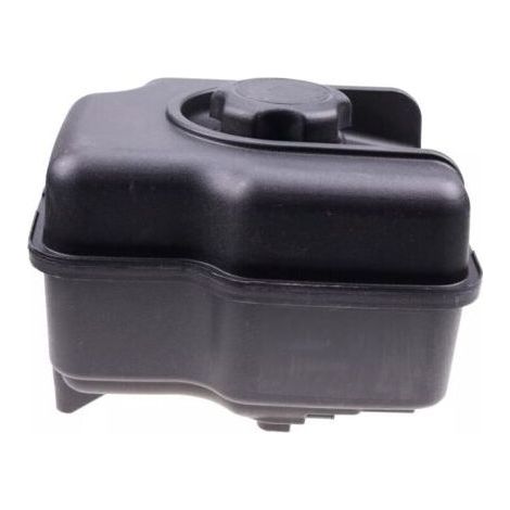 Réservoir de carburant Briggs & Stratton pour moteur compatible 799863, 694260, 695736, 698110 (1/4)