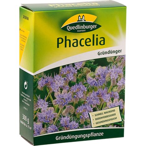 Quedlinburger Gründünger Bienenfreund Phacelia für ca. 75 m² 300 g - Faltschachtel
