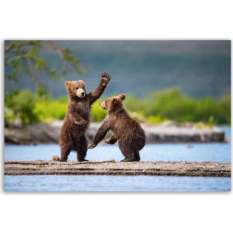 Tableau oursons bruns jouant au bord de l’eau (1/5)