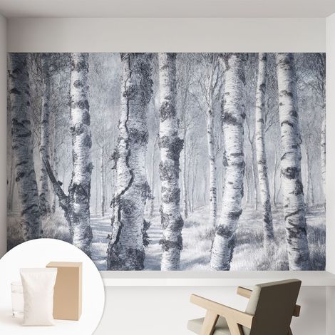 Papier peint intissé mural avec imprimé pour décoration pour salon pour chambre à coucher pour entrée Nature hivernale 152x104 cm (1/5)