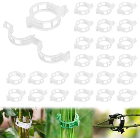 100 pinzas para plantas - Pinzas de plástico para plantas - Pinzas de soporte reutilizables para plantas - Pinzas de plástico - Pinzas para plantas trepadoras - Pinzas para tomates - Plantas (1/5)