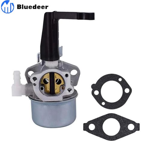 Carburateur moteur carburateur Pour Briggs pour Stratton 696065 697422 110402 110412 215369 motoculteur pour carburateur de rechange de moteur avec joint (1/4)