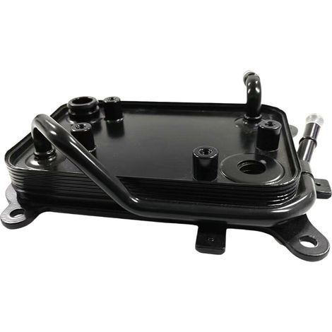 L'huile 25620-2W500 convient aux refroidisseurs d'huile Hyundai et Kia. (1/2)