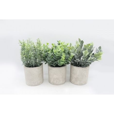 SUCCULENTE ASSORTITE IN VASO CEMENTO 23 CM (1/5)