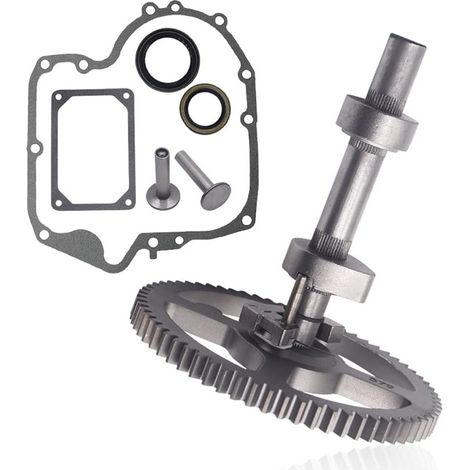 Le kit d'arbre à cames 793880 est compatible avec Briggs Stratton 210702, 210807 et 793583. (1/5)