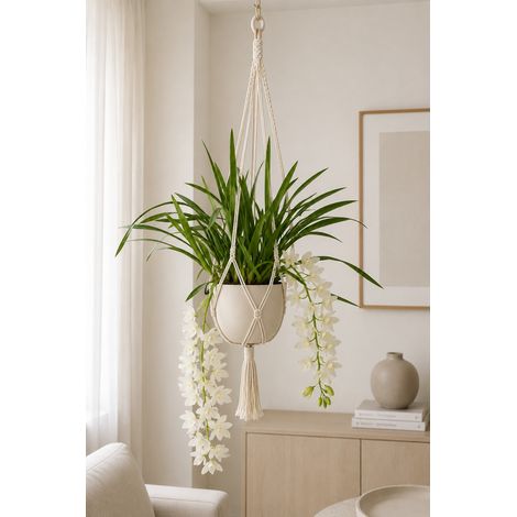 Gardenaria Cymbidium white 'Ice cascade' - Pianta da interno ornamentale - Altezza: 60 cm (vaso 14) (1/5)