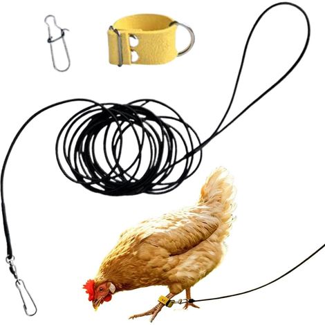 Cuerda para pollos  Cuerda ajustable a prueba de escapes para pollos con asas para las patas (1/5)