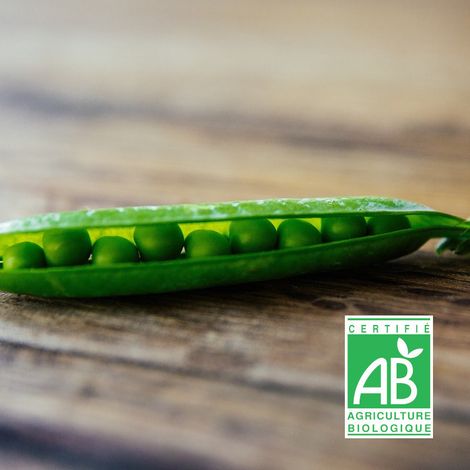 Graines de Pois Nain grain ridé Karinal Bio