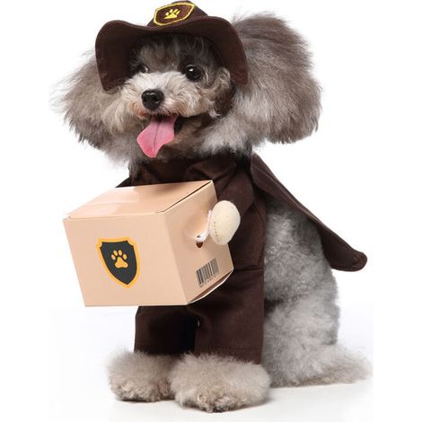 Chien Stand Up Vêtements pour chiens drôles Stand Up Dress Up(porter S) (1/5)