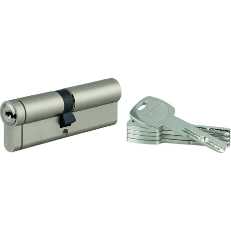 THIRARD - Lot de 10 cylindres Transit 1 50x50mm, nickelé, 5 clés - THIRARD
