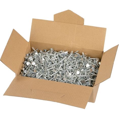 Nägel 2825, 25x3,10 mm, Dachpappen-, verzinkt, Packung 2,5 kg (1/2)