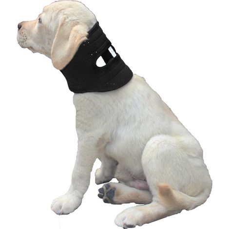 Collier de Protection Post-Opératoire pour Animaux - Empêche la Torsion et Soutient la Guérison