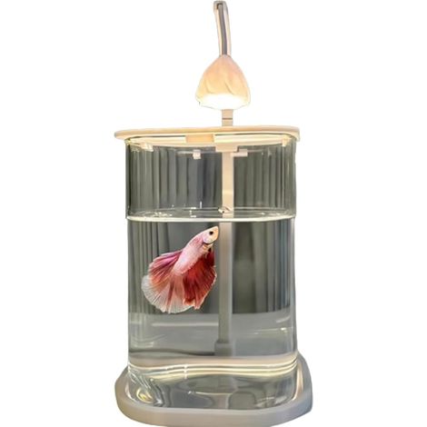 Aquarium de bureau créatif LED en verre à économie d'énergie alimenté par USB micro paysage écologique guérison aquarium ornements décoratifs (sans décoration) (1/4)