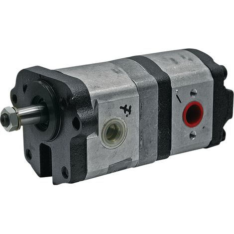 Pompa idraulica doppia per MASSEY FERGUSON LANDINI 3774612M91