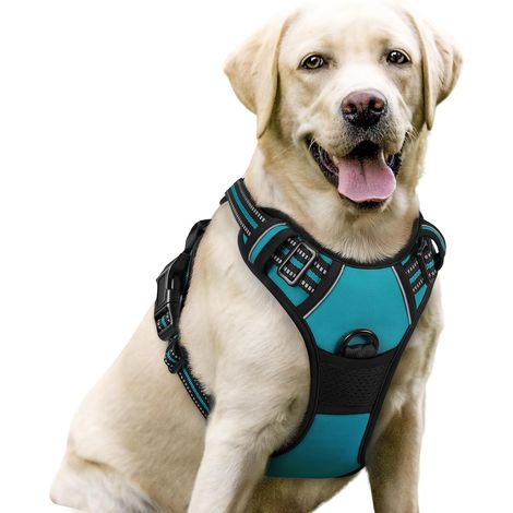Harnais Chien Anti Traction, Arnet pour Chien avec Poignée Contrôl, Facile à Mettre, Gilet Réfléchissant Réglable avec Attache Devant, Harnais pour Chien Petit Moyen et Grand, Bleu Paon, L (1/5)