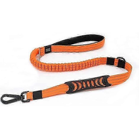 Laisse anti-traction pour chien - Poignée rembourrée compatible avec les chiens moyens/grands (1/3)