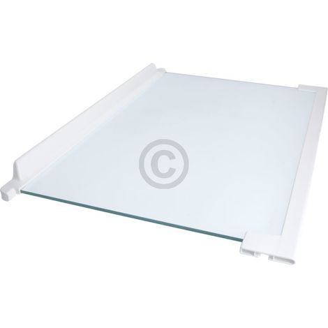 Glasplatte Kühlteil mittig Electrolux 225163920/5 460x300mm mit Leisten (1/4)