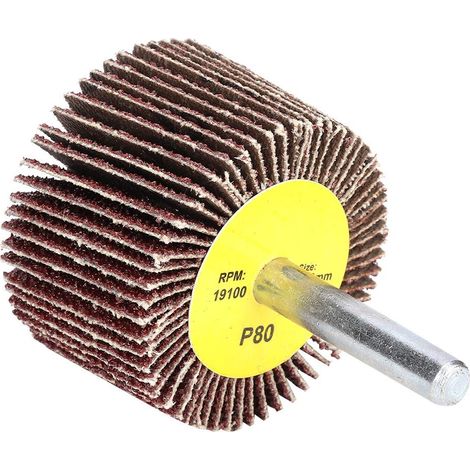 10 Disques Abrasifs à Feuillets avec Tige 6mm pour Perceuse Polissage et Finition Bois Métal (1/5)