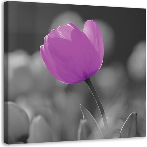 Tableau décoratif Fleurs de tulipes Lila 50x50 (1/5)