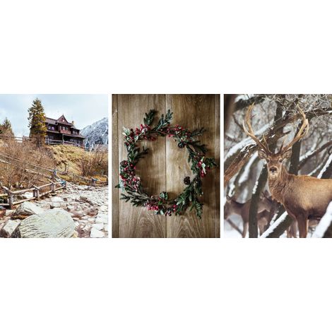 Pósters para la pared del dormitorio Vacaciones navideñas Invierno Ciervos 3x 50x70 (1/5)