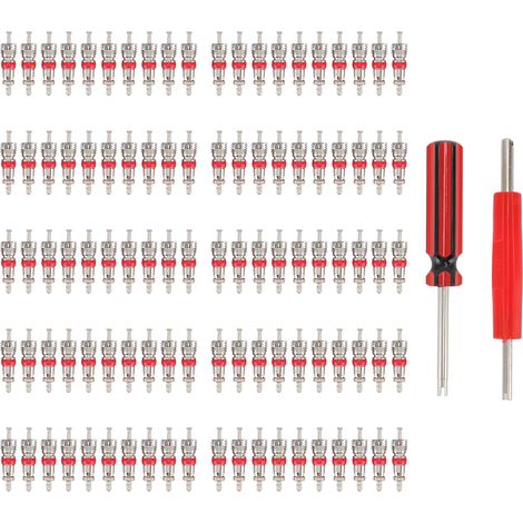 Ensemble d'outils de noyau de Valve avec 100 noyaux de tige, 2 pièces de réparation de pneus pour voiture camion SUV vélo ATV (1/5)