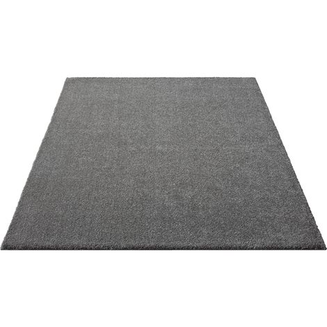 FLOORNOVO Hochflor Teppich Grau einfarbig - 290 x 200 cm - Besonders Weicher Teppich Wohnzimmer & Badezimmerteppich - Pflegeleicht - vielseitig einsetzbar im Innenbereich (1/2)