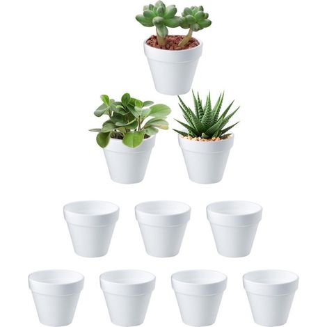 Lot de 10 mini pots blancs pour plantes (6 x 7 cm) – Plastique PP résistant – Idéal pour les semis, les plantes grasses et les herbes aromatiques (1/5)