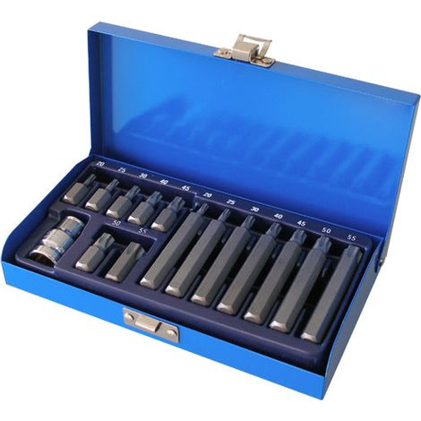 Torx Bit Set 15-teilig T20 bis T55 kurz und lang 10 mm mit Adapter
