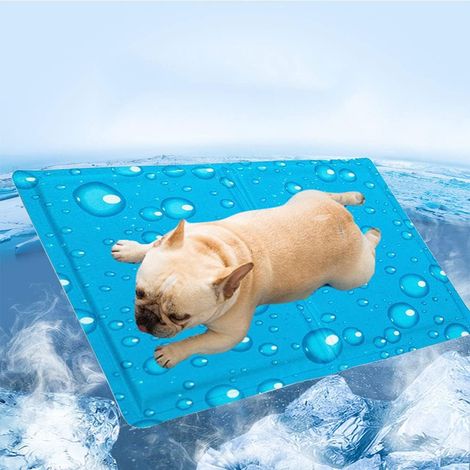 Tapis Rafraichissant Chien Tapis Refroidissement Chien, Tapis Fraicheur pour Animaux de Compagnie été Refroidissement Gel Non Toxique Pet Mat Auto-refroidissant, Bleu, 40x30cm