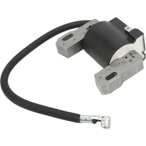 Module de bobine d'allumage du moteur 590454 692605 790817 Performances stables pour tondeuse à gazon BS (1/5)