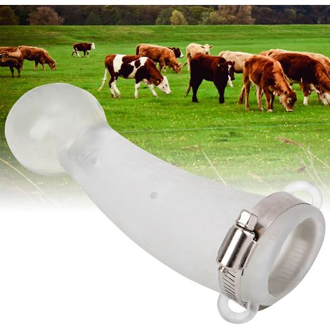 Protection anti-bagarres en silicone à coins arrondis pour cornes de vaches, veaux et taureaux. (1/5)