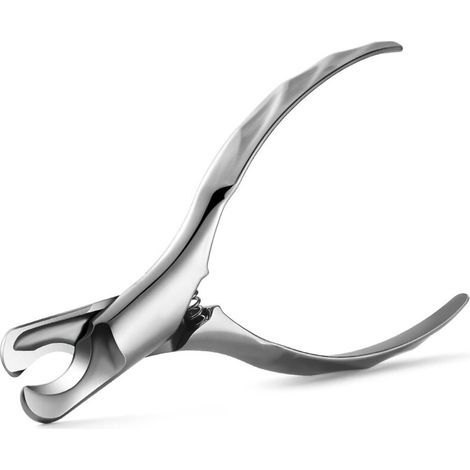 Coupe-ongles pour chien et chat, coupe-ongles pour tout le corps, en acier inoxydable, toilettage pour animaux de compagnie (1/3)