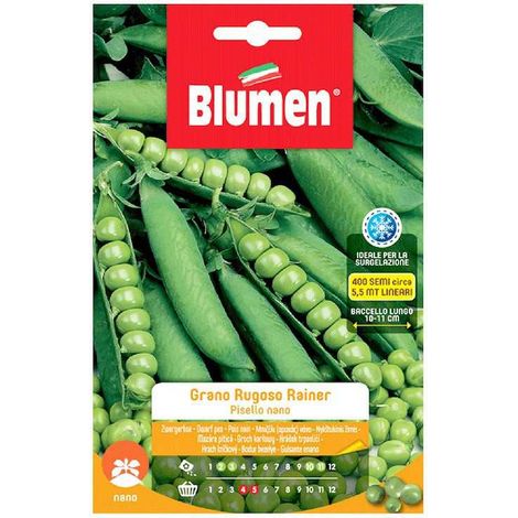 SEMI DI PISELLI NANI GRANO RUGOSO RAINIER
