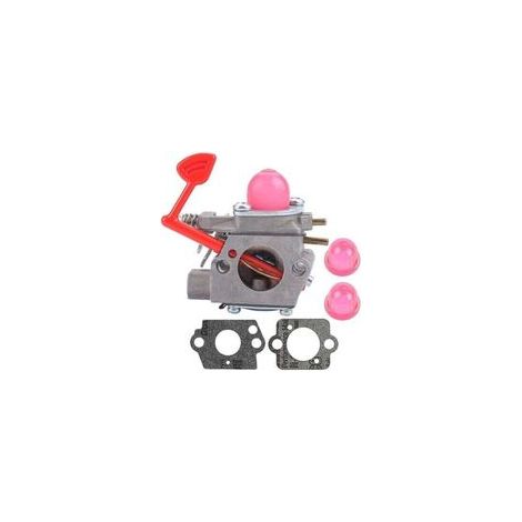 Carburateur WT-875 pour Craftsman 358794650 et Polan Pro BVM200C BVM200VS Mac MC200VS 25CC 200 mph