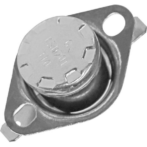 Thermostat (AK763) - Buffalo