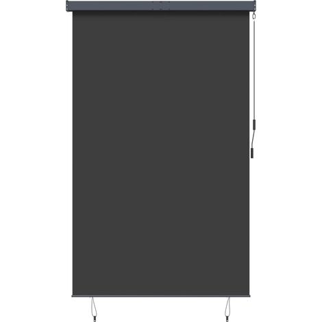 Maison Exclusive - Store roulant d'extérieur 160x250 cm Anthracite (1/5)