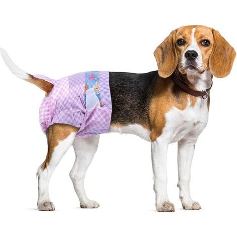 Confezione da 20 pannolini usa e getta per cagne, per incontinenza, per cani di piccola taglia, taglia S: da 25 a 40 cm. (1/5)