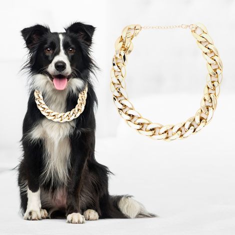 Collier étrangleur brillant et tendance en plastique pour bouledogue français (doré) (1/5)
