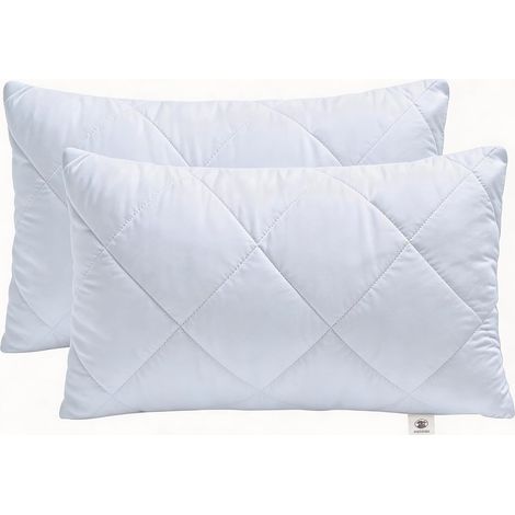 Lot de 2 Coussin, Garnissage Intérieur, Fibre Creuse, Canapé Lit Chaise